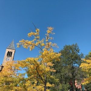 Meet your Posher, Eunyoung